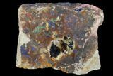 Azurite Crystals on Druzy Quartz - Morocco #90332-1